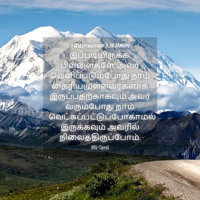 Picture 04 - 1 யோவான் 2:28 TAMIRV - இப்படியிருக்க, - Bible Verse Picture