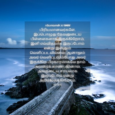 Picture 04 - 1 யோவான் 3:2 TAMIRV - பிரியமானவர்களே, - Bible Verse Picture
