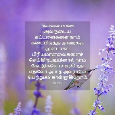 Picture 04 - 1 யோவான் 3:22 TAMIRV - அவருடைய கட்டளைகளை - Bible Verse Picture
