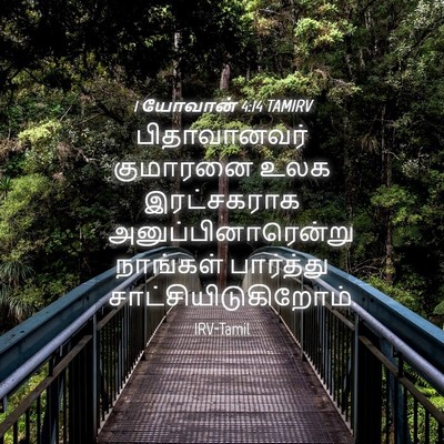 Picture 04 - 1 யோவான் 4:14 TAMIRV - பிதாவானவர் - Bible Verse Picture