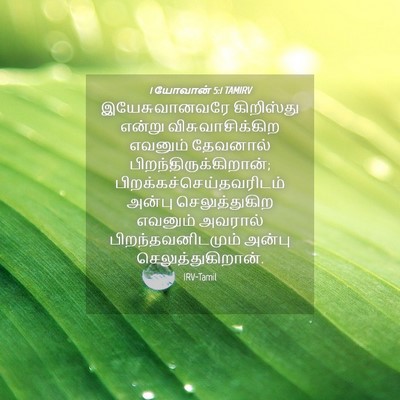 Picture 04 - 1 யோவான் 5:1 TAMIRV - இயேசுவானவரே - Bible Verse Picture
