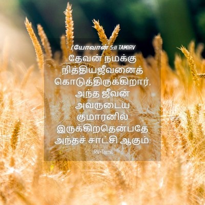 Picture 04 - 1 யோவான் 5:11 TAMIRV - தேவன் நமக்கு - Bible Verse Picture