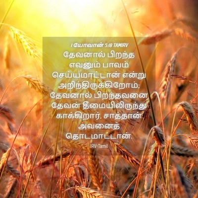 Picture 04 - 1 யோவான் 5:18 TAMIRV - தேவனால் பிறந்த - Bible Verse Picture