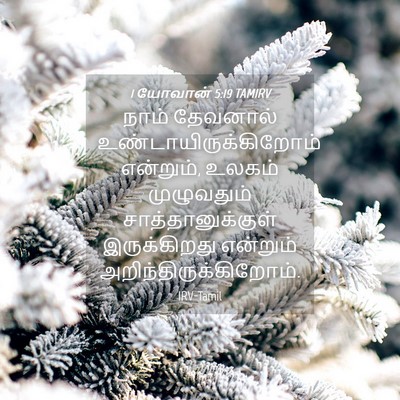 Picture 04 - 1 யோவான் 5:19 TAMIRV - நாம் தேவனால் - Bible Verse Picture