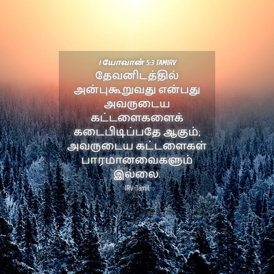 Picture 04 - 1 யோவான் 5:3 TAMIRV - தேவனிடத்தில் - Bible Verse Picture