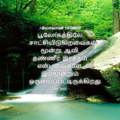 Picture 04 - 1 யோவான் 5:8 TAMIRV - பூலோகத்திலே - Bible Verse Picture