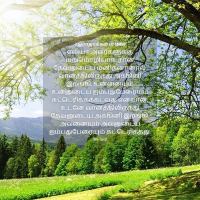 Picture 04 - 2 இராஜாக்கள் 1:12 TAMIRV - எலியா அவர்களுக்கு - Bible Verse Picture
