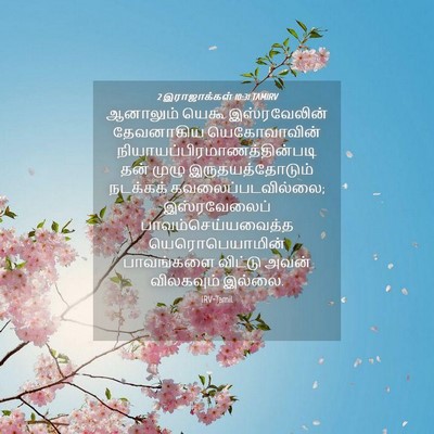 Picture 04 - 2 இராஜாக்கள் 10:31 TAMIRV - ஆனாலும் யெகூ - Bible Verse Picture