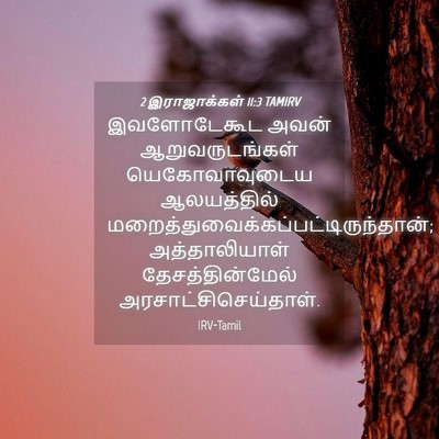 Picture 04 - 2 இராஜாக்கள் 11:3 TAMIRV - இவளோடேகூட அவன் - Bible Verse Picture
