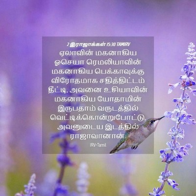 Picture 04 - 2 இராஜாக்கள் 15:30 TAMIRV - ஏலாவின் மகனாகிய - Bible Verse Picture