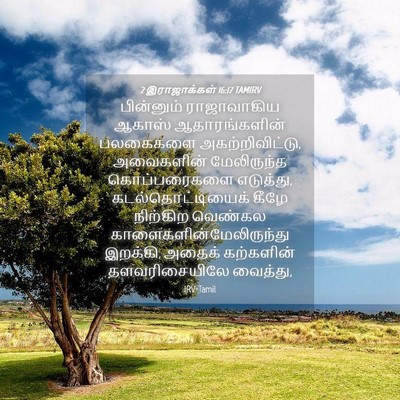 Picture 04 - 2 இராஜாக்கள் 16:17 TAMIRV - பின்னும் - Bible Verse Picture