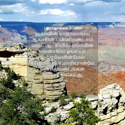 Picture 04 - 2 இராஜாக்கள் 17:1 TAMIRV - யூதாவின் - Bible Verse Picture