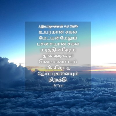 Picture 04 - 2 இராஜாக்கள் 17:10 TAMIRV - உயரமான சகல - Bible Verse Picture