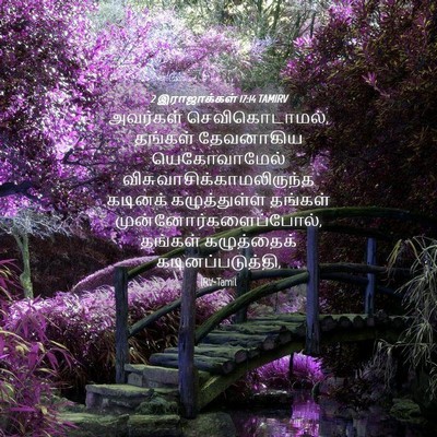 Picture 04 - 2 இராஜாக்கள் 17:14 TAMIRV - அவர்கள் - Bible Verse Picture