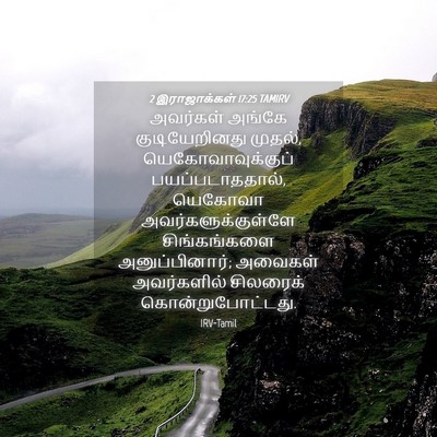 Picture 04 - 2 இராஜாக்கள் 17:25 TAMIRV - அவர்கள் அங்கே - Bible Verse Picture