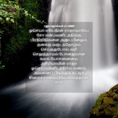 Picture 04 - 2 இராஜாக்கள் 17:4 TAMIRV - ஓசெயா எகிப்தின் - Bible Verse Picture