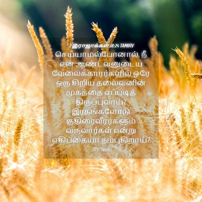 Picture 04 - 2 இராஜாக்கள் 18:24 TAMIRV - செய்யாமல்போனால், - Bible Verse Picture