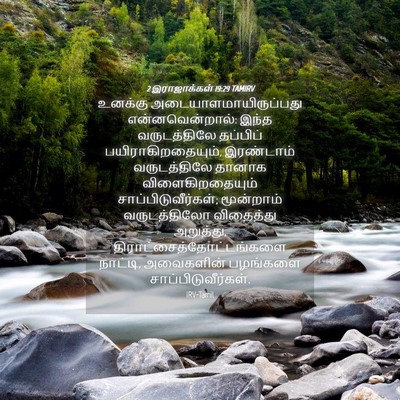 Picture 04 - 2 இராஜாக்கள் 19:29 TAMIRV - உனக்கு - Bible Verse Picture