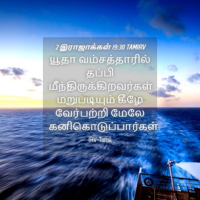 Picture 04 - 2 இராஜாக்கள் 19:30 TAMIRV - யூதா வம்சத்தாரில் - Bible Verse Picture