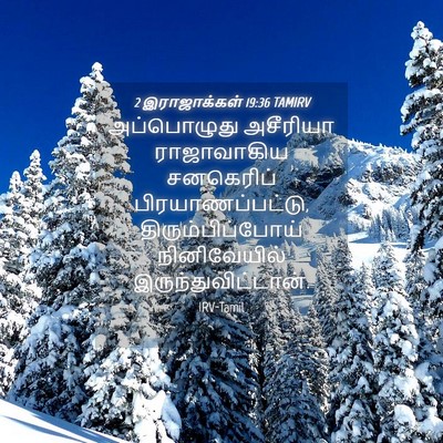 Picture 04 - 2 இராஜாக்கள் 19:36 TAMIRV - அப்பொழுது அசீரியா - Bible Verse Picture