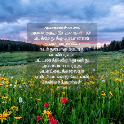Picture 04 - 2 இராஜாக்கள் 2:23 TAMIRV - அவன் அந்த - Bible Verse Picture