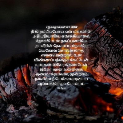 Picture 04 - 2 இராஜாக்கள் 20:5 TAMIRV - நீ - Bible Verse Picture