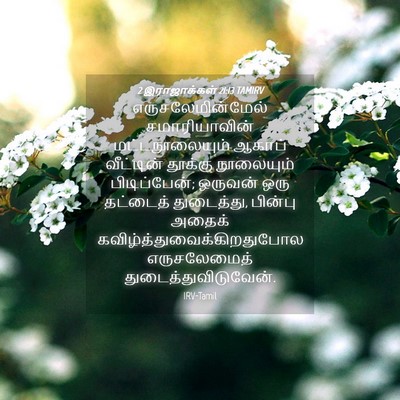 Picture 04 - 2 இராஜாக்கள் 21:13 TAMIRV - எருசலேமின்மேல் - Bible Verse Picture