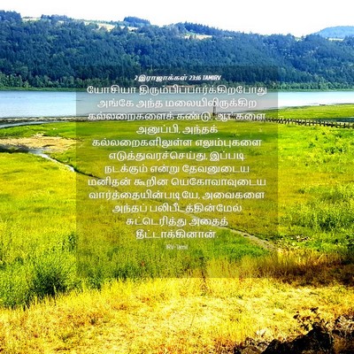 Picture 04 - 2 இராஜாக்கள் 23:16 TAMIRV - யோசியா - Bible Verse Picture