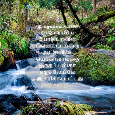 Picture 04 - 2 இராஜாக்கள் 23:23 TAMIRV - ராஜாவாகிய - Bible Verse Picture