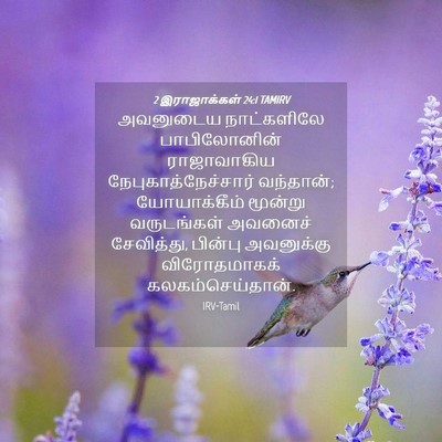 Picture 04 - 2 இராஜாக்கள் 24:1 TAMIRV - அவனுடைய நாட்களிலே - Bible Verse Picture