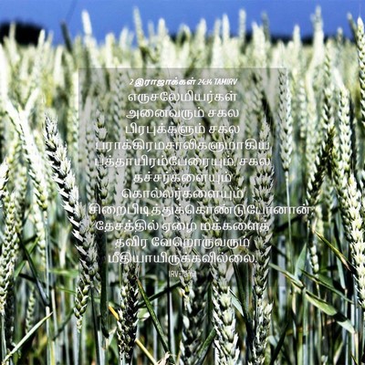 Picture 04 - 2 இராஜாக்கள் 24:14 TAMIRV - எருசலேமியர்கள் - Bible Verse Picture