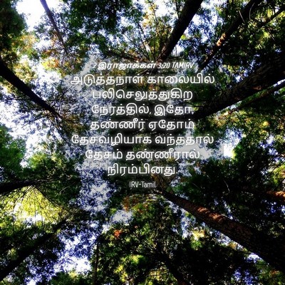 Picture 04 - 2 இராஜாக்கள் 3:20 TAMIRV - அடுத்தநாள் - Bible Verse Picture