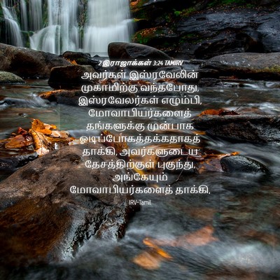 Picture 04 - 2 இராஜாக்கள் 3:24 TAMIRV - அவர்கள் - Bible Verse Picture