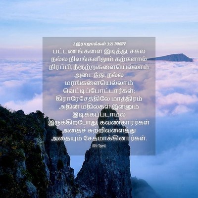 Picture 04 - 2 இராஜாக்கள் 3:25 TAMIRV - பட்டணங்களை - Bible Verse Picture