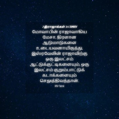 Picture 04 - 2 இராஜாக்கள் 3:4 TAMIRV - மோவாபின் - Bible Verse Picture