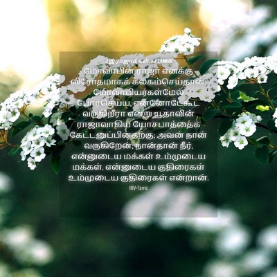 Picture 04 - 2 இராஜாக்கள் 3:7 TAMIRV - மோவாபின் ராஜா - Bible Verse Picture
