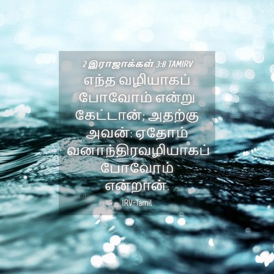 Picture 04 - 2 இராஜாக்கள் 3:8 TAMIRV - எந்த வழியாகப் - Bible Verse Picture