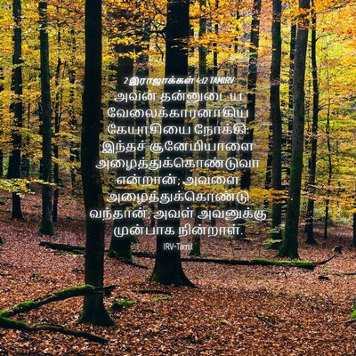 Picture 04 - 2 இராஜாக்கள் 4:12 TAMIRV - அவன் தன்னுடைய - Bible Verse Picture