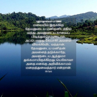 Picture 04 - 2 இராஜாக்கள் 4:27 TAMIRV - மலையில் இருக்கிற - Bible Verse Picture