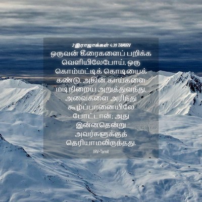 Picture 04 - 2 இராஜாக்கள் 4:39 TAMIRV - ஒருவன் கீரைகளைப் - Bible Verse Picture