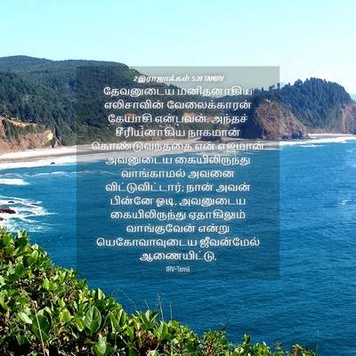 Picture 04 - 2 இராஜாக்கள் 5:20 TAMIRV - தேவனுடைய - Bible Verse Picture