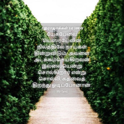 Picture 04 - 2 இராஜாக்கள் 9:10 TAMIRV - யேசபேலை - Bible Verse Picture