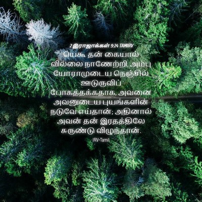 Picture 04 - 2 இராஜாக்கள் 9:24 TAMIRV - யெகூ தன் கையால் - Bible Verse Picture