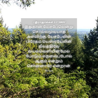 Picture 04 - 2 இராஜாக்கள் 9:37 TAMIRV - இதுதான் - Bible Verse Picture