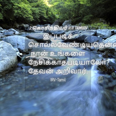 Picture 04 - 2 கொரிந்தியர் 11:11 TAMIRV - இப்படிச் - Bible Verse Picture