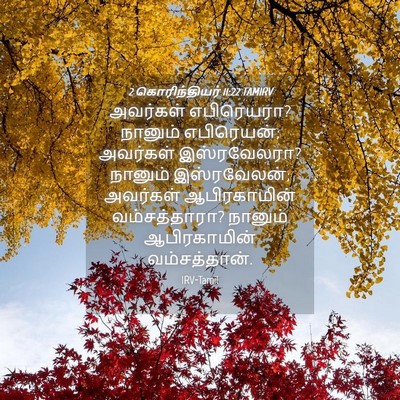 Picture 04 - 2 கொரிந்தியர் 11:22 TAMIRV - அவர்கள் எபிரெயரா? - Bible Verse Picture