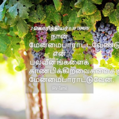 Picture 04 - 2 கொரிந்தியர் 11:30 TAMIRV - நான் - Bible Verse Picture