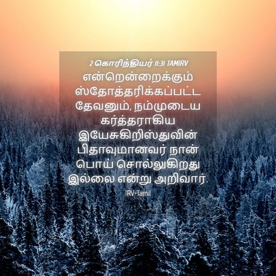 Picture 04 - 2 கொரிந்தியர் 11:31 TAMIRV - என்றென்றைக்கும் - Bible Verse Picture