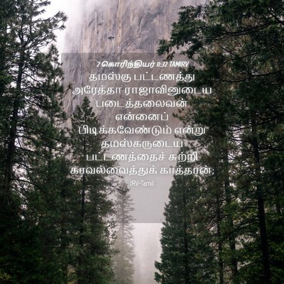 Picture 04 - 2 கொரிந்தியர் 11:32 TAMIRV - தமஸ்கு பட்டணத்து - Bible Verse Picture