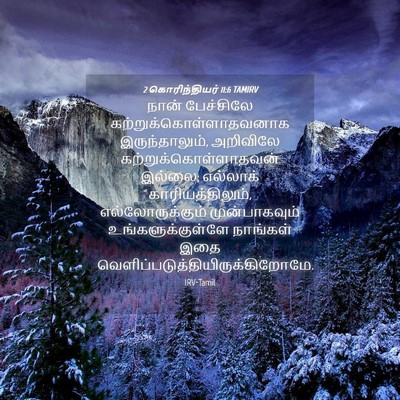 Picture 04 - 2 கொரிந்தியர் 11:6 TAMIRV - நான் பேச்சிலே - Bible Verse Picture